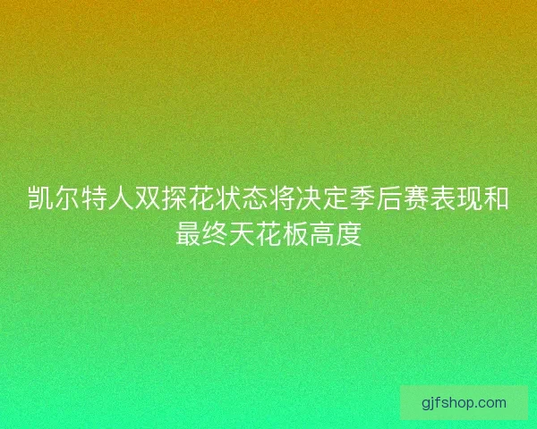 凯尔特人双探花状态将决定季后赛表现和最终天花板高度